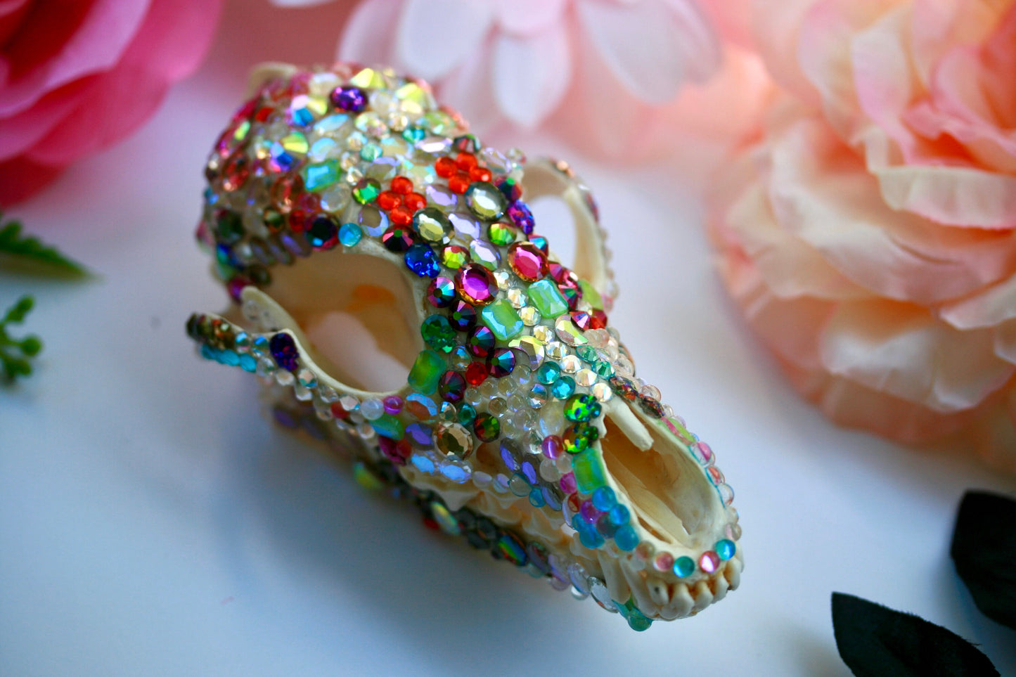 Bejeweled Skull- Bedazzled Jeweled Decorated Rainbow Kitsch Decoration Wall Hanging OOAK Craft Sparkly Animal Oddity Taxidermy Coyote Pastel