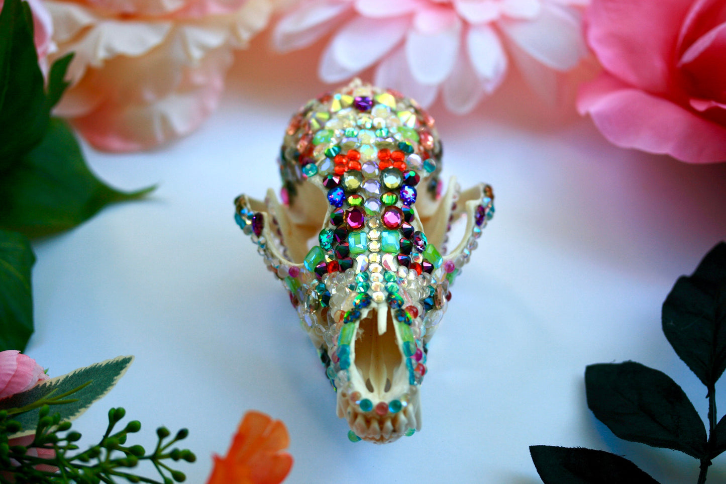 Bejeweled Skull- Bedazzled Jeweled Decorated Rainbow Kitsch Decoration Wall Hanging OOAK Craft Sparkly Animal Oddity Taxidermy Coyote Pastel