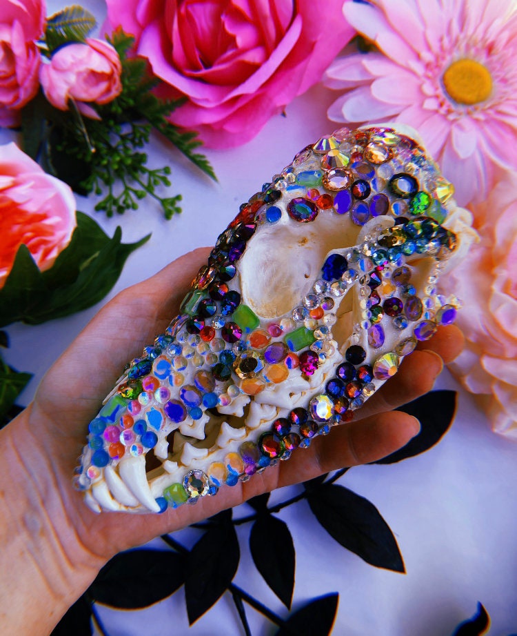 Bejeweled Skull- Bedazzled Jeweled Decorated Rainbow Kitsch Decoration Wall Hanging OOAK Craft Sparkly Animal Oddity Taxidermy Coyote Pastel