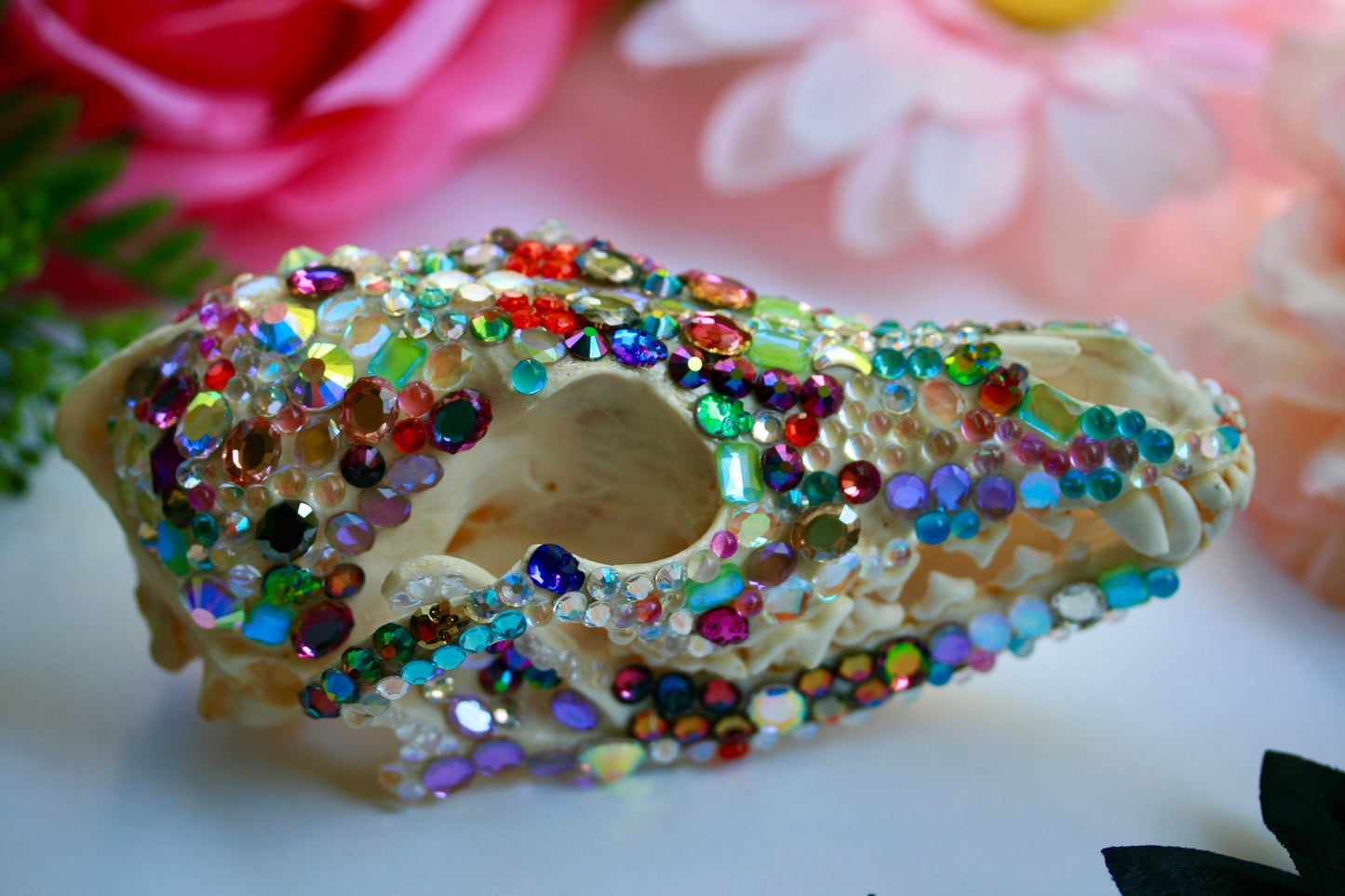 Bejeweled Skull- Bedazzled Jeweled Decorated Rainbow Kitsch Decoration Wall Hanging OOAK Craft Sparkly Animal Oddity Taxidermy Coyote Pastel