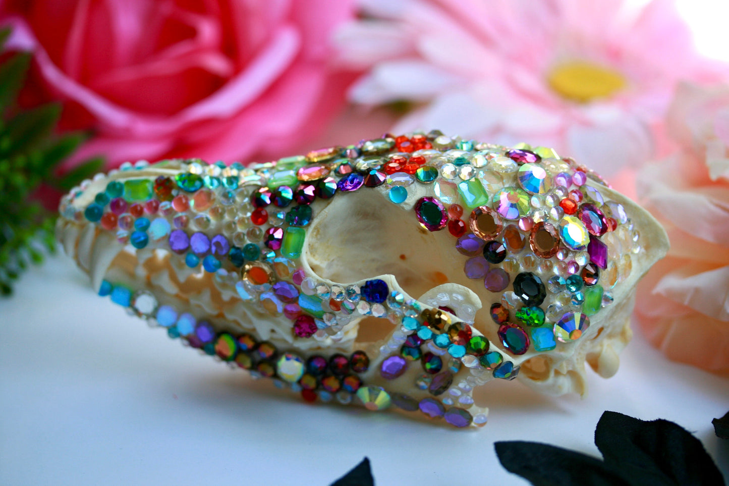 Bejeweled Skull- Bedazzled Jeweled Decorated Rainbow Kitsch Decoration Wall Hanging OOAK Craft Sparkly Animal Oddity Taxidermy Coyote Pastel