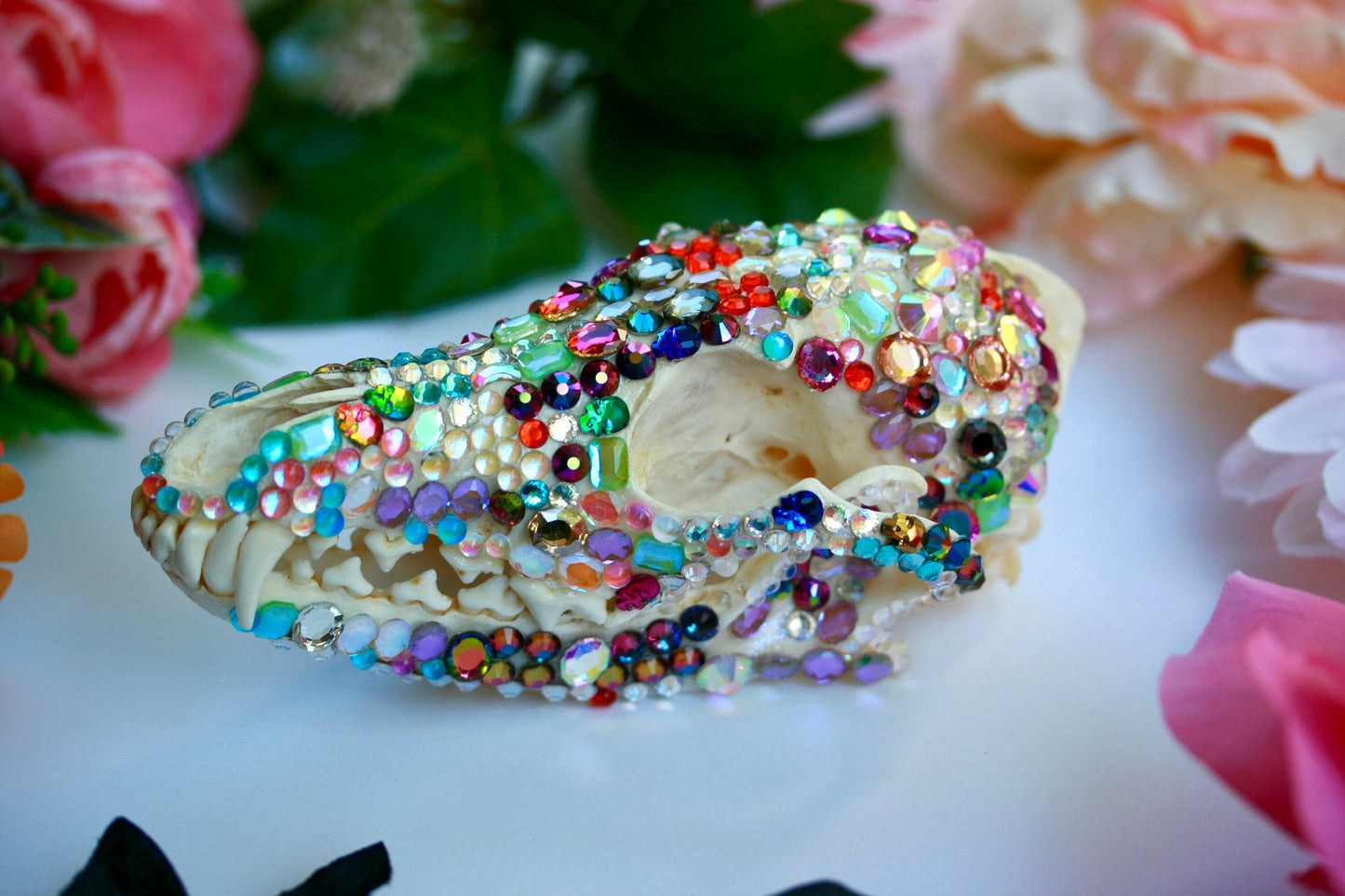 Bejeweled Skull- Bedazzled Jeweled Decorated Rainbow Kitsch Decoration Wall Hanging OOAK Craft Sparkly Animal Oddity Taxidermy Coyote Pastel