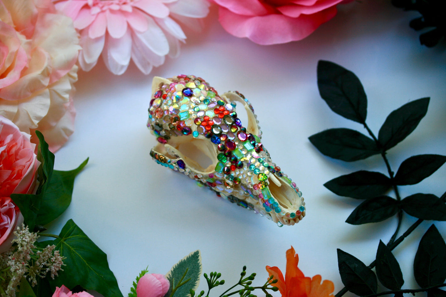Bejeweled Skull- Bedazzled Jeweled Decorated Rainbow Kitsch Decoration Wall Hanging OOAK Craft Sparkly Animal Oddity Taxidermy Coyote Pastel