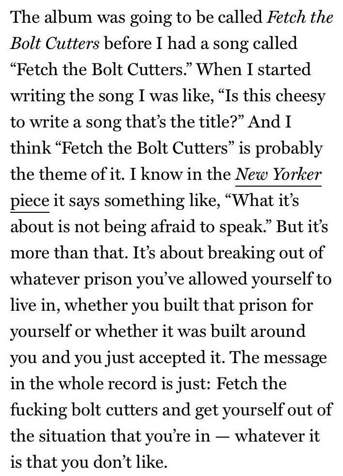 Fiona Apple Fetch the Bolt Cutters Earrings- Lasercut Iridescent The Idler Wheel Paper Bag Criminal Kate Bush Tori Amos Freedom Symbol Holo