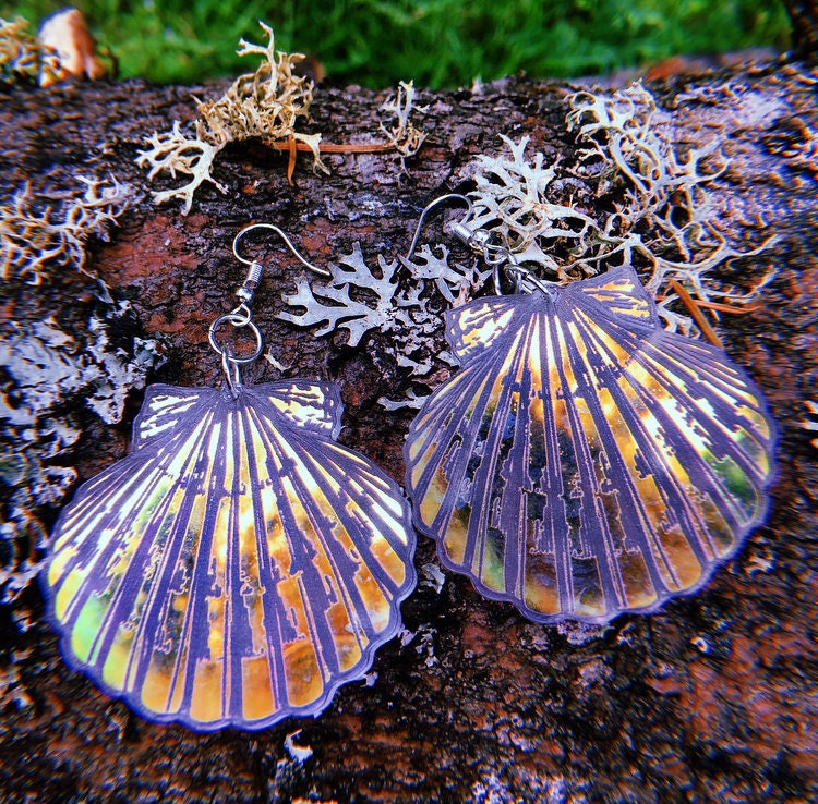 Lovisa Conch Shell Earrings  DAKOTA JINX