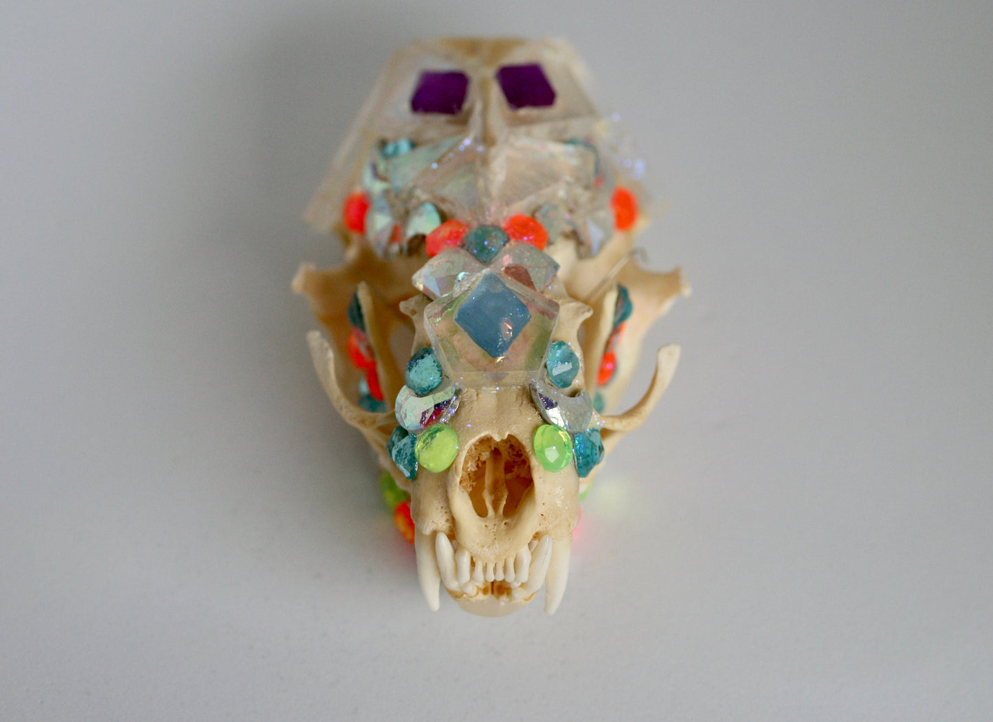 Small Bejeweled Skull- Bedazzled Jeweled Decorated Rainbow Kitsch Decoration Wall Hanging OOAK Craft Sparkly Animal Oddity Taxidermy Occult
