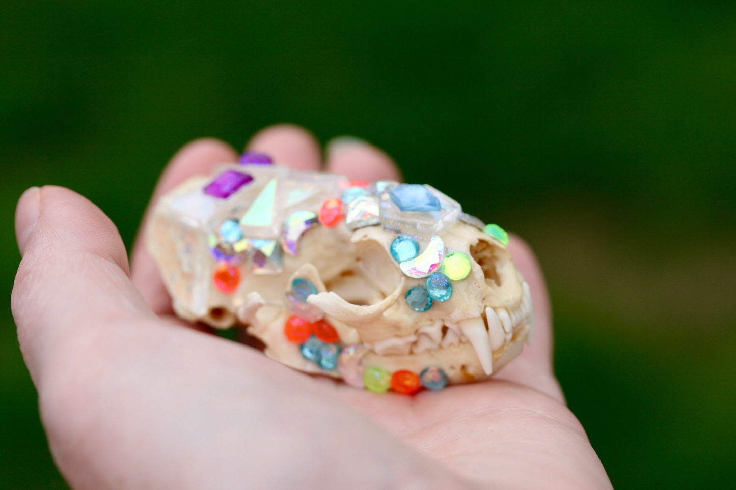 Small Bejeweled Skull- Bedazzled Jeweled Decorated Rainbow Kitsch Decoration Wall Hanging OOAK Craft Sparkly Animal Oddity Taxidermy Occult