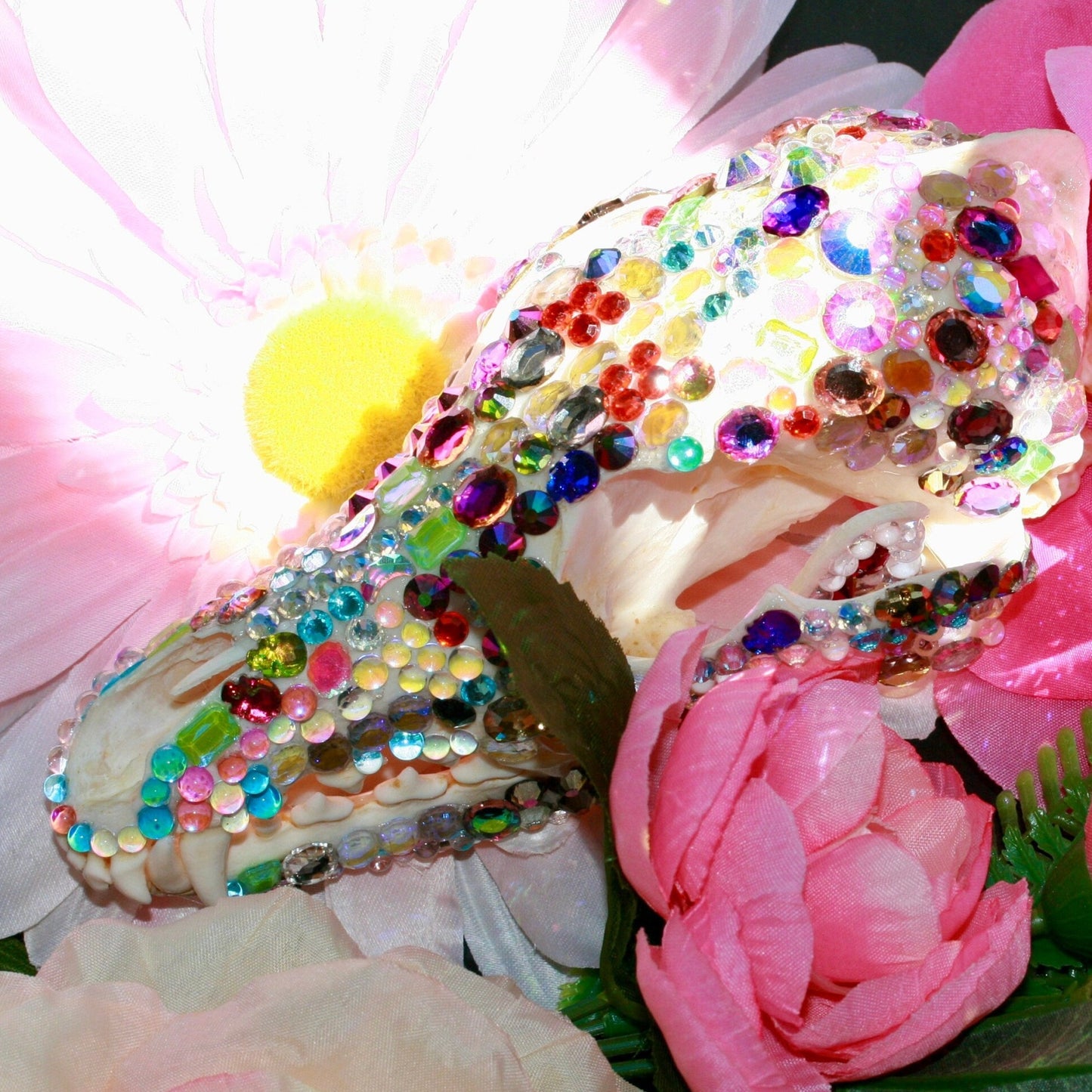 Bejeweled Skull- Bedazzled Jeweled Decorated Rainbow Kitsch Decoration Wall Hanging OOAK Craft Sparkly Animal Oddity Taxidermy Coyote Pastel