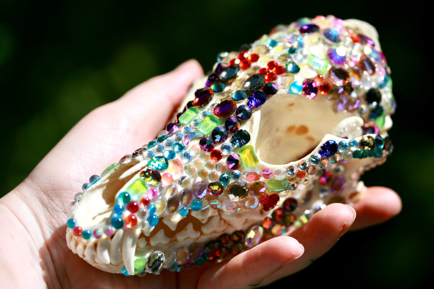 Bejeweled Skull- Bedazzled Jeweled Decorated Rainbow Kitsch Decoration Wall Hanging OOAK Craft Sparkly Animal Oddity Taxidermy Coyote Pastel